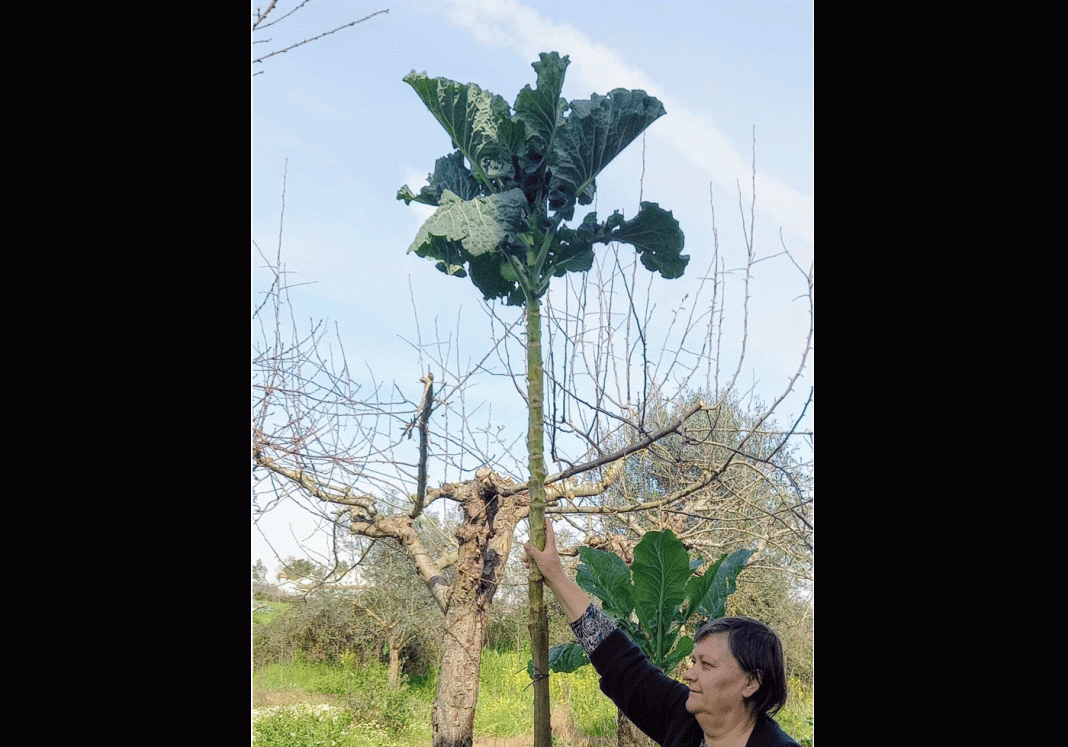 0d7f95f9 96ad 4922 b3f0 ff5171da89ce