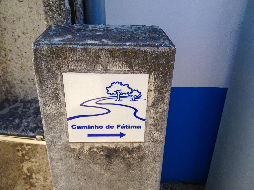 Associação Thomar Honoris organiza primeira Gala Artes de Combate