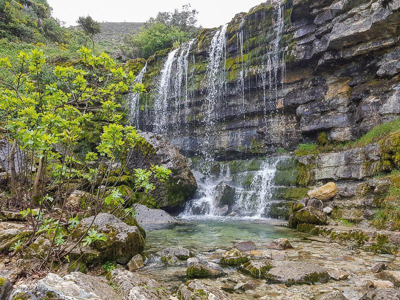 À Descoberta da Biodiversidade no Parque Natural das Serras de Aire e Candeeiros