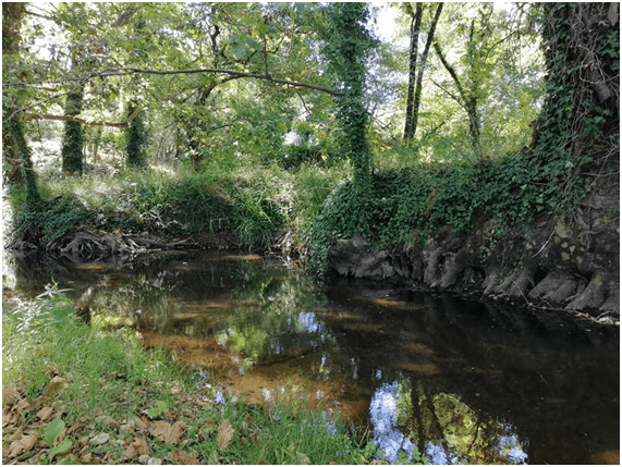 118652866 2771938269762467 2981120169035374970 n