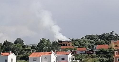 18185725536045426035