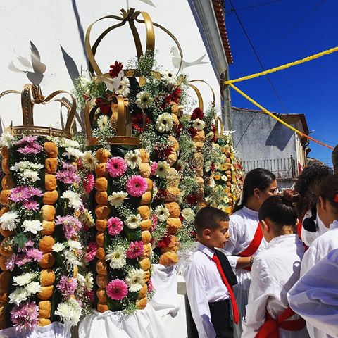 18888634 1820159821645912 1297597027001040896 n