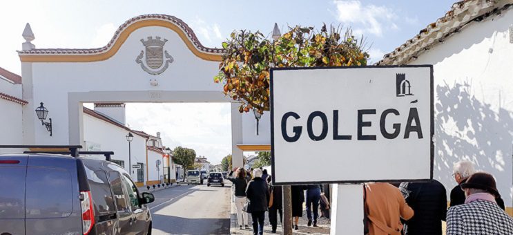 Municípios unem-se na criação da Associação de Municípios Portugueses do Cavalo