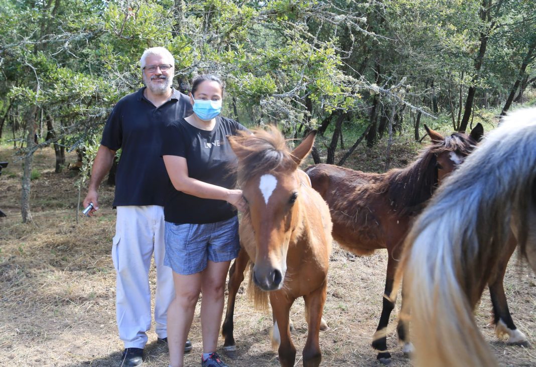 209164062 10216949305319633 5223508750847806208 n