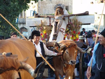 Município apoia Festa da Bênção do Gado com 80 mil euros