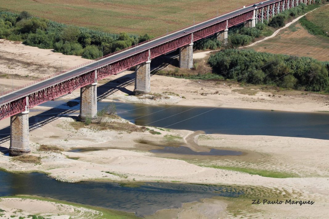 242391958 4397109667048987 1374340052865058898 n