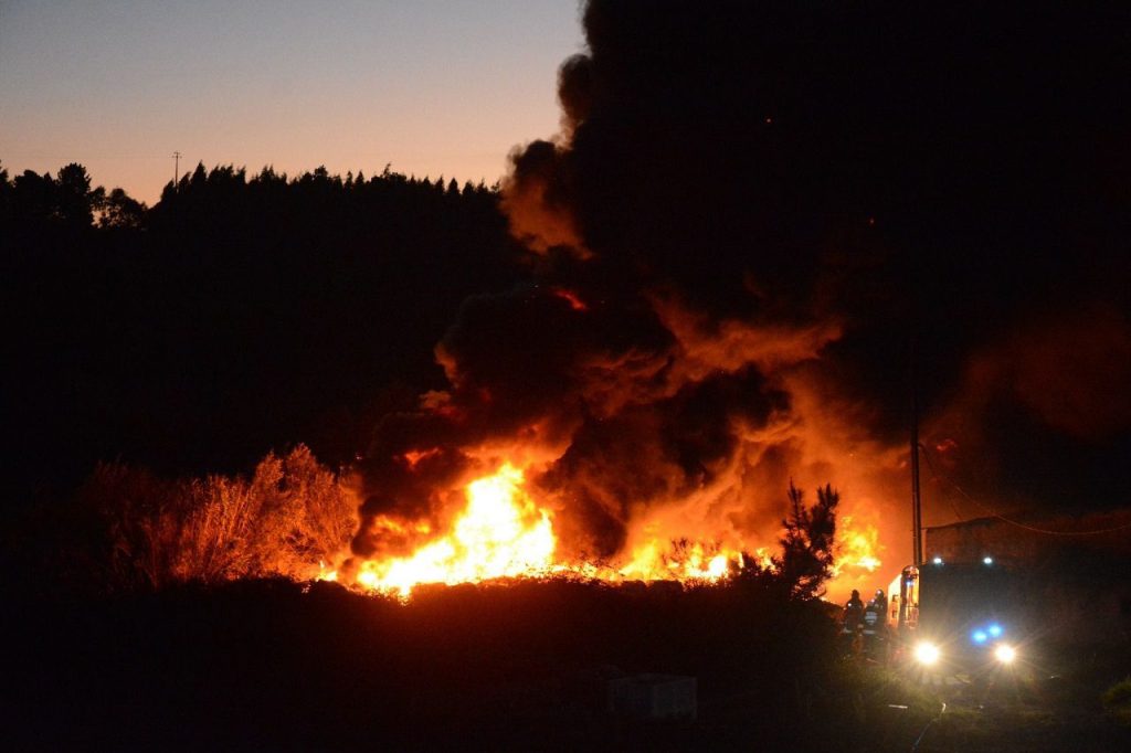 266805490 3109349742667711 2574394389767591160 n