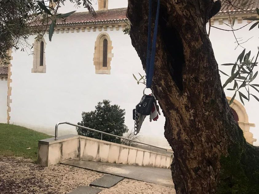 269692767 3128163737396618 612831740824886298 n 1