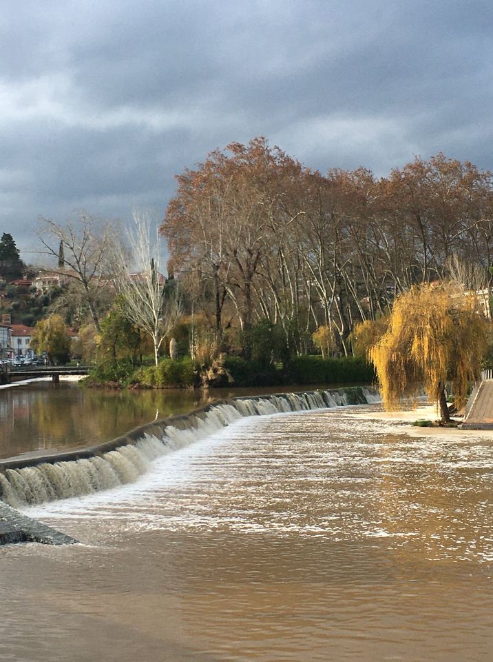 269825682 4824271404282558 5976950868974131644 n