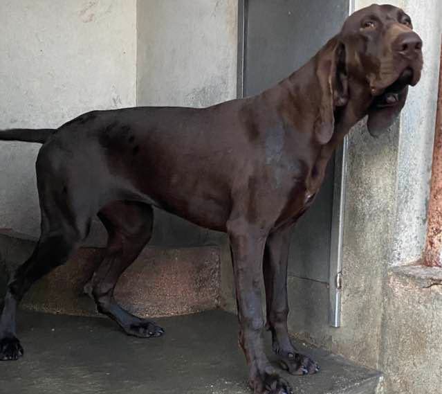 270245540 4681679118534464 7218854344905303490 n 3