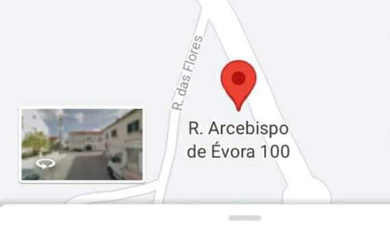 Atropelamento seguido de fuga do condutor em Lamarosa