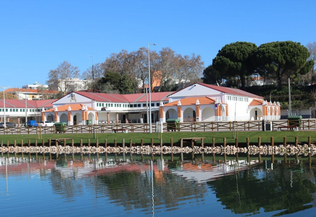 272045855 2698143573652652 81438015715132528 n