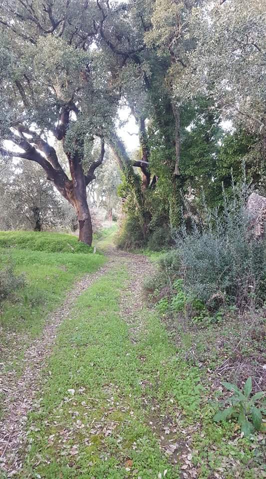 272160723 10225325455856817 6834483313393975285 n