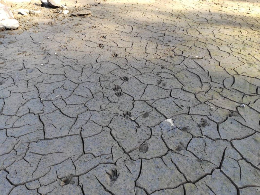 Imagens impressionantes captadas algures na Albufeira do Castelo do Bode