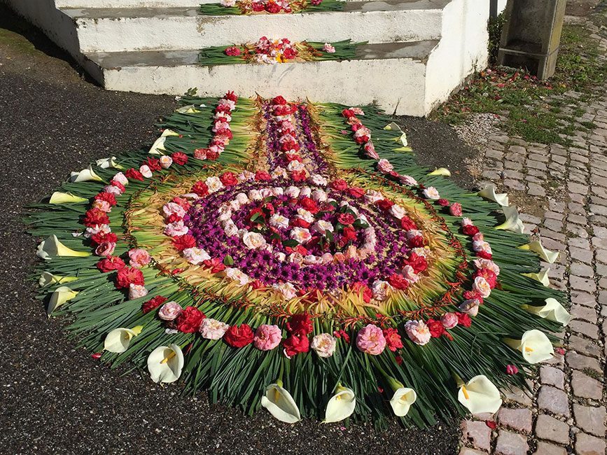 29356421 1658635277515739 6631447719980302336 o