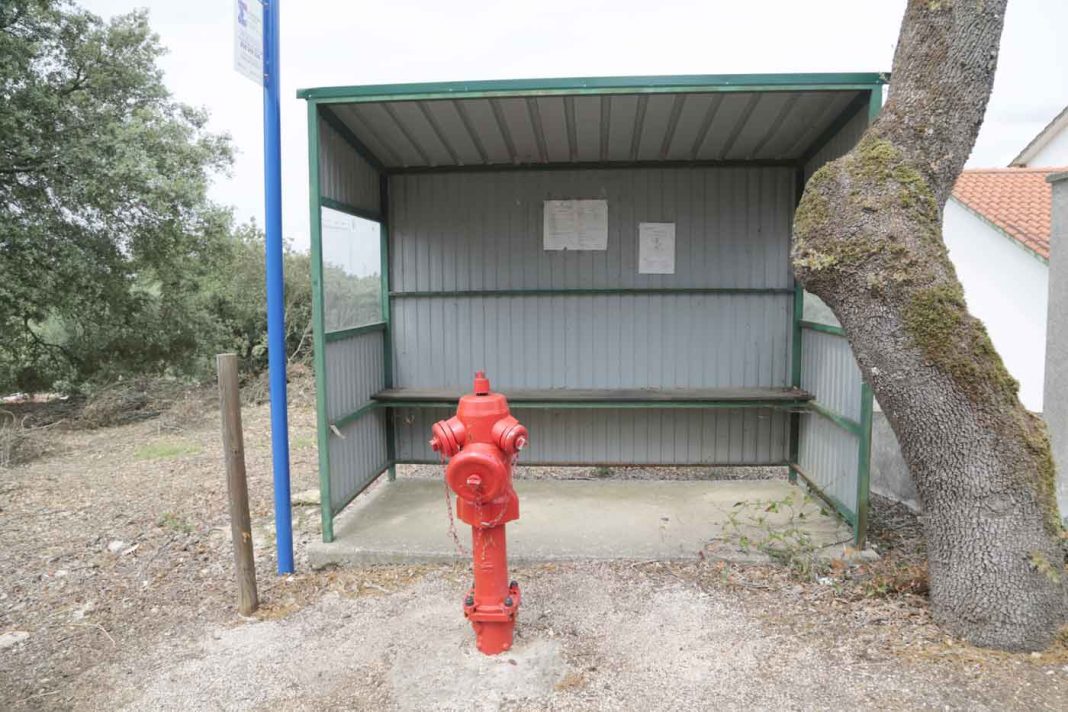 Tomar: Vale Venteiro passou a terra de fenómenos?