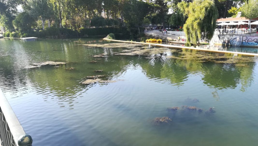 Tomar: Limpeza e controle de infestantes no leito e margens do rio Nabão