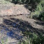 311860528 2927885790678428 3991777032693134223 n