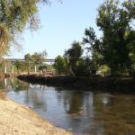 311862126 2927885740678433 3274333394808794998 n