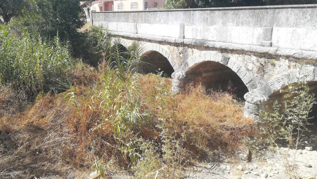 312976358 2938316306302043 7626487982825468972 n