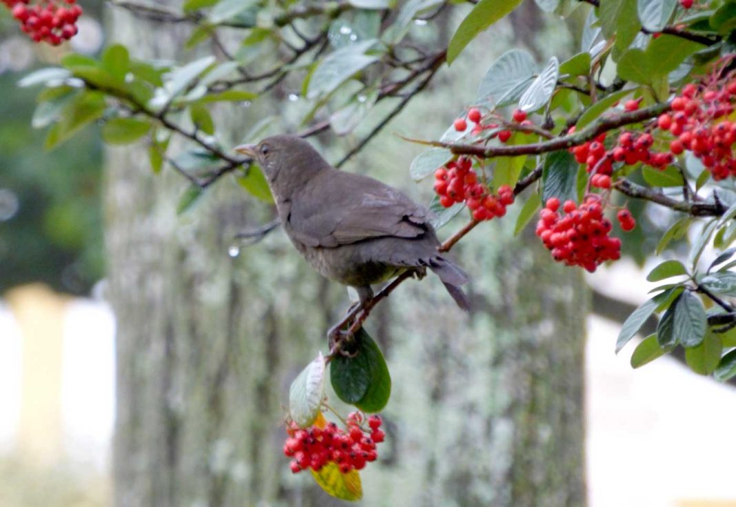 319381765 3058366327792101 7618801138675953090 n