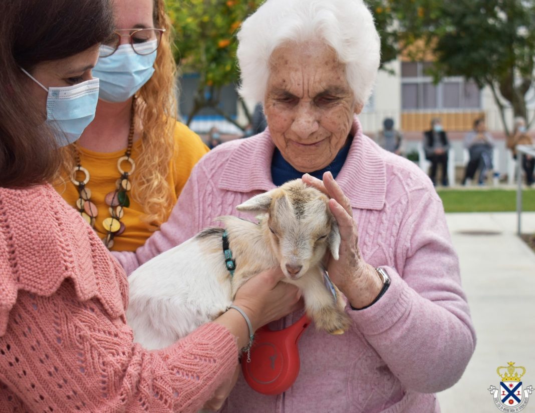 «O homem só vive em plenitude quando está em conexão com a natureza» O bom exemplo do Lar Fernando Eiró Gomes