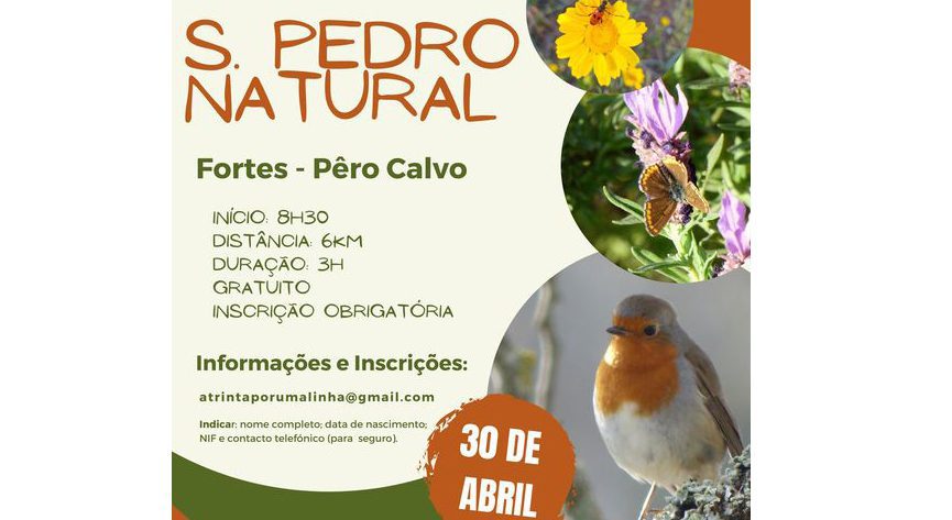 Quer conhecer o património natural da Freguesia de São Pedro de Tomar?