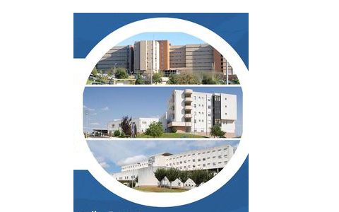 344415487 788422645822103 3417599919809638812 n