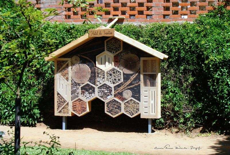 Sabia que Abrantes tem um hotel para insetos?