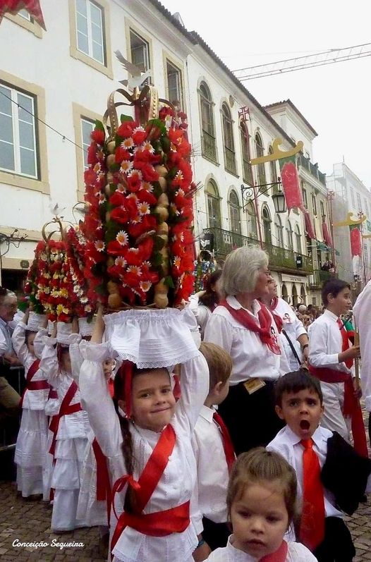 Cortejo dos Rapazes c/vídeo