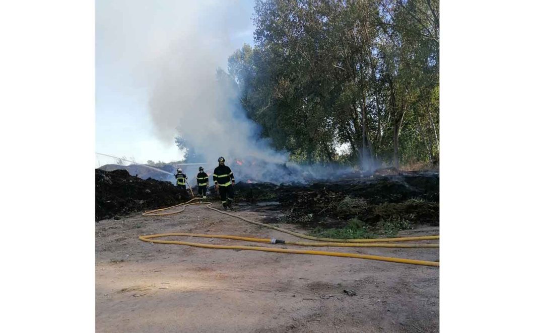 365733662 823340542764648 3692630412361547820 n