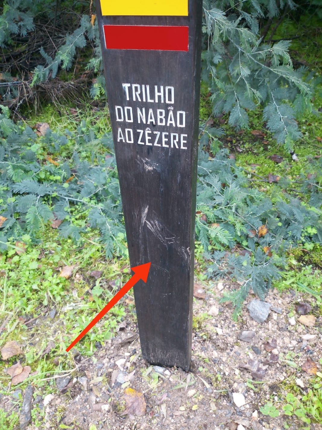 409621431 721766613389151 2933834287944349970 n