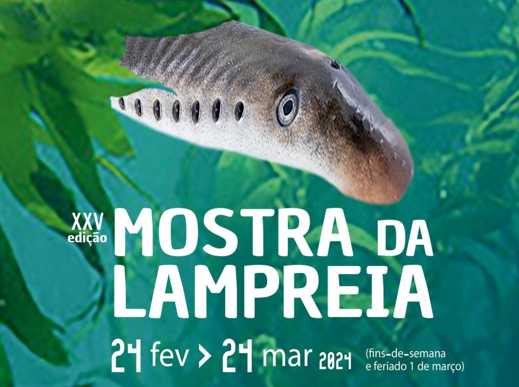 424699099 691691609845196 2018202866555231619 n