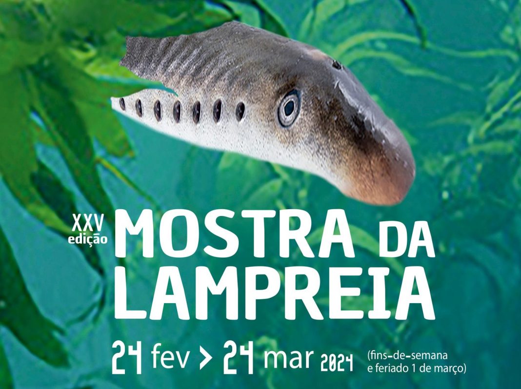 424699099 691691609845196 2018202866555231619 n