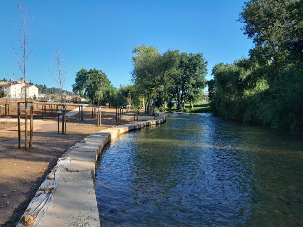 450972720 780238160990540 6472593821705254829 n (1)