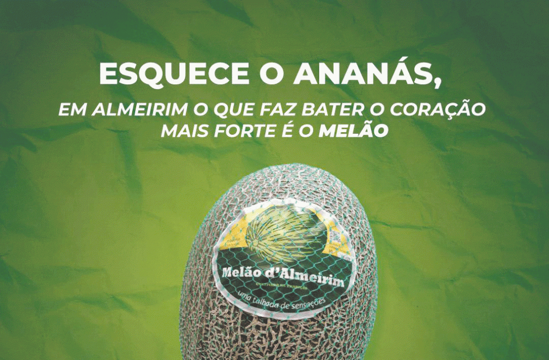 Presidente da Câmara sugere: Em vez de ananás “engata” com o saboroso melão de Almeirim