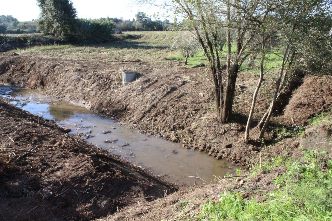 Tomar: Ações de limpeza na ribeira da Lousã para prevenir risco de cheias