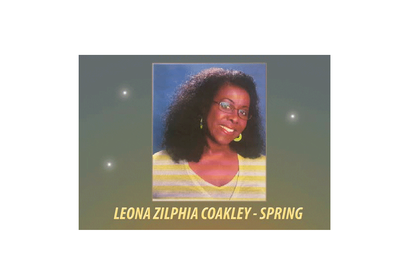 Leona dá concerto solidário em Cem Soldos