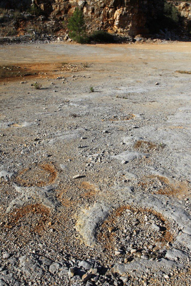 Novos trilhos de pegadas de dinossáurios descobertos nas encostas da Serra d’Aire no concelho de Torres Novas