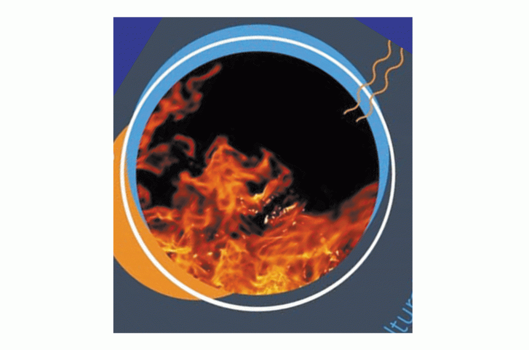 Complexo da Levada acolhe exposição de fotografia «Sítios do Fogo»