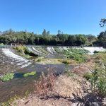 Deus, Pátria e Algodão: Mas Quem Cuida da História Operária?