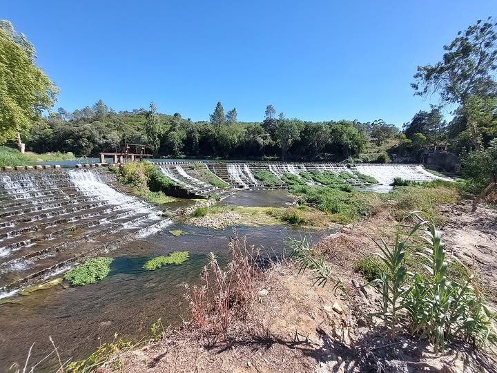 Deus, Pátria e Algodão: Mas Quem Cuida da História Operária?