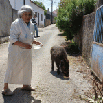 "O Barreiras" já é atração turística e gosta de jogar à bola