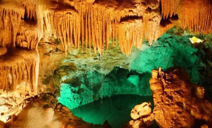 Passeio ideal para famílias e amantes da natureza, independentemente da região de partida.