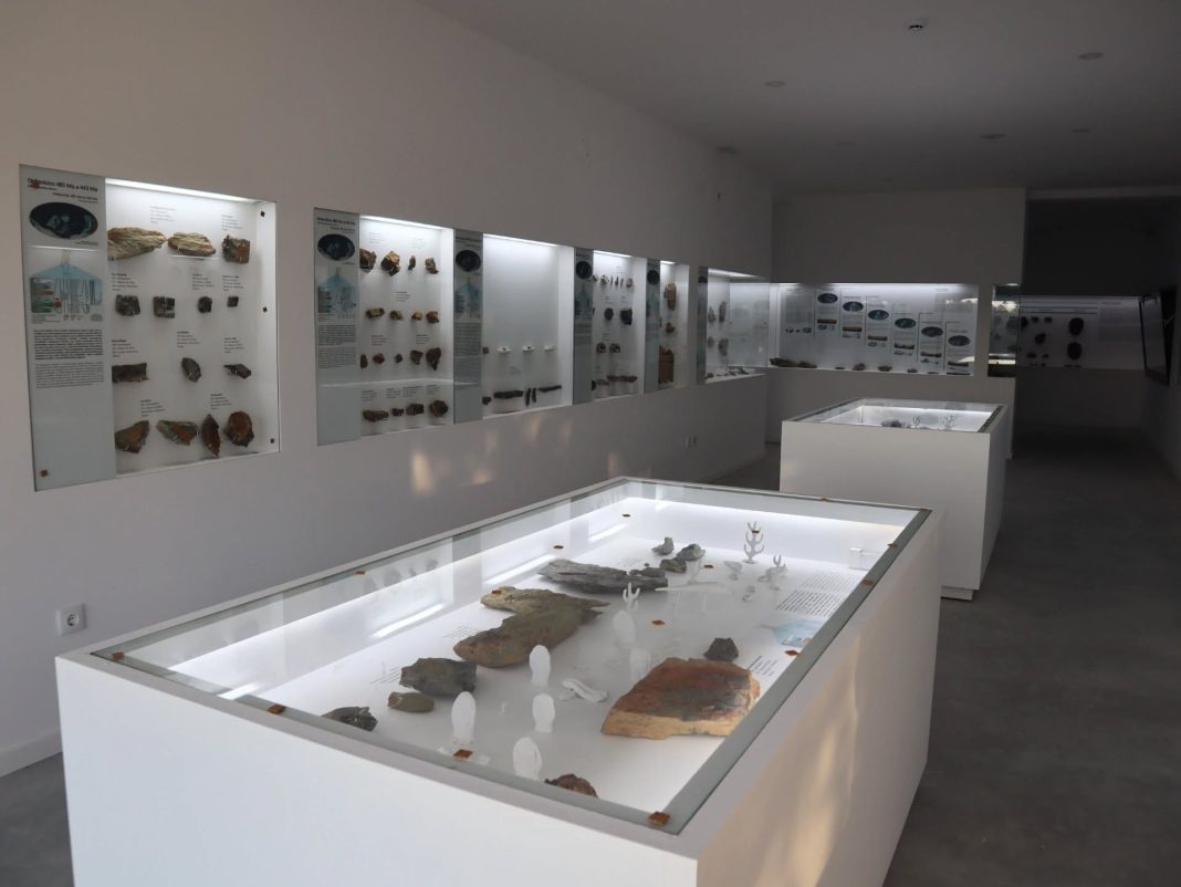 Vales de Cima inaugura Centro Paleontológico Nery Delgado com mais de 1.700 fósseis