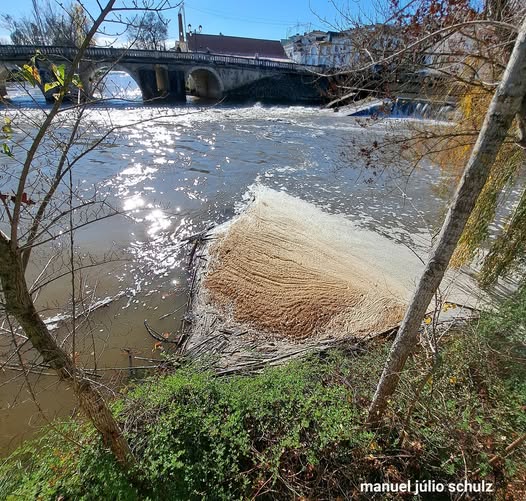 Câmara Municipal de Tomar exige intervenção urgente das entidades competentes para defesa do rio Nabão