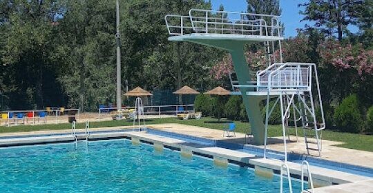 Tomar assinala Dia Internacional da Juventude