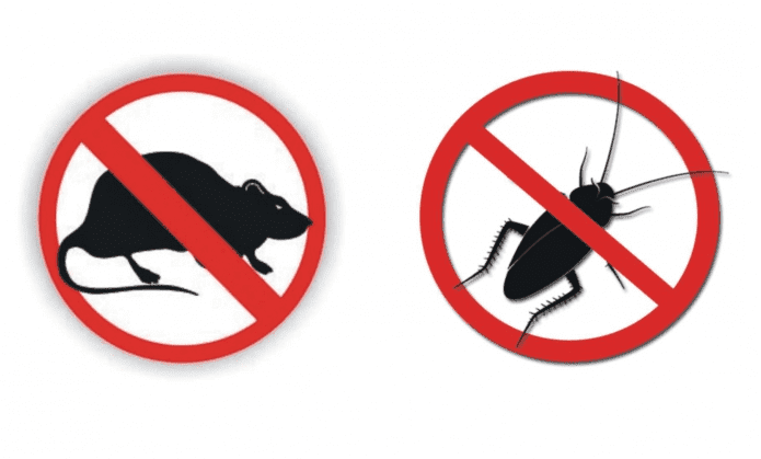 60256458 824781177889230 8446601122331754496 n