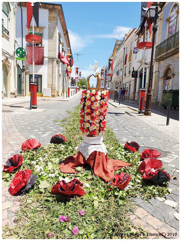 61725043 10215039976648039 1582295385257279488 n