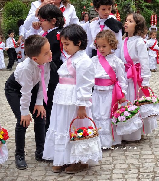 Olhares sobre a blogosfera portuguesa